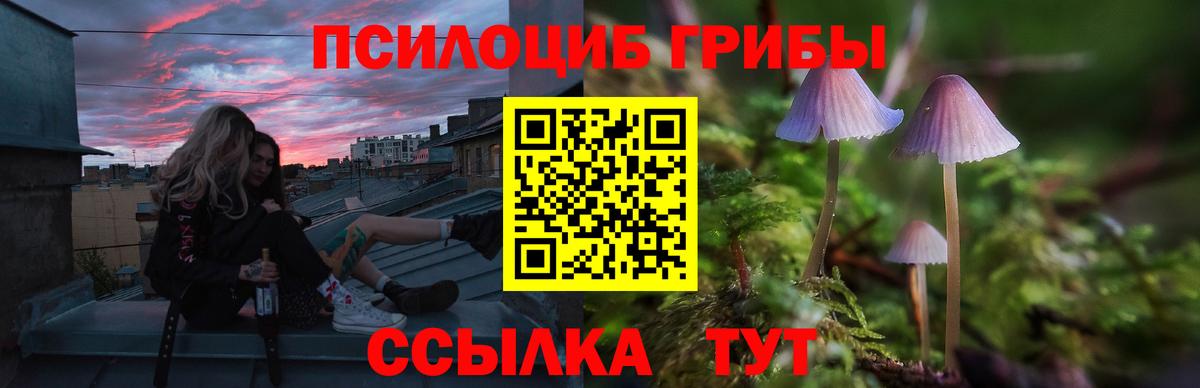 Псилоцибиновые грибы MAGIC MUSHROOMS Грозный